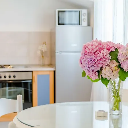 Apartment Dinka *